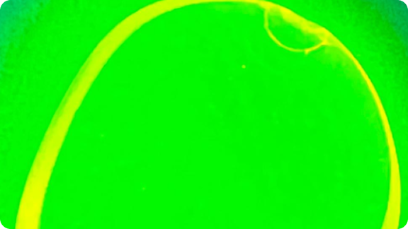 Green swirling pattern