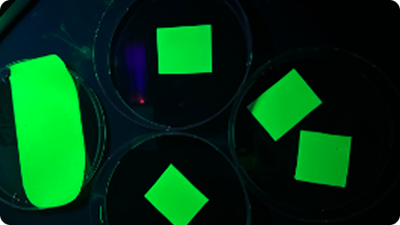 Petri dishes with glowing materials